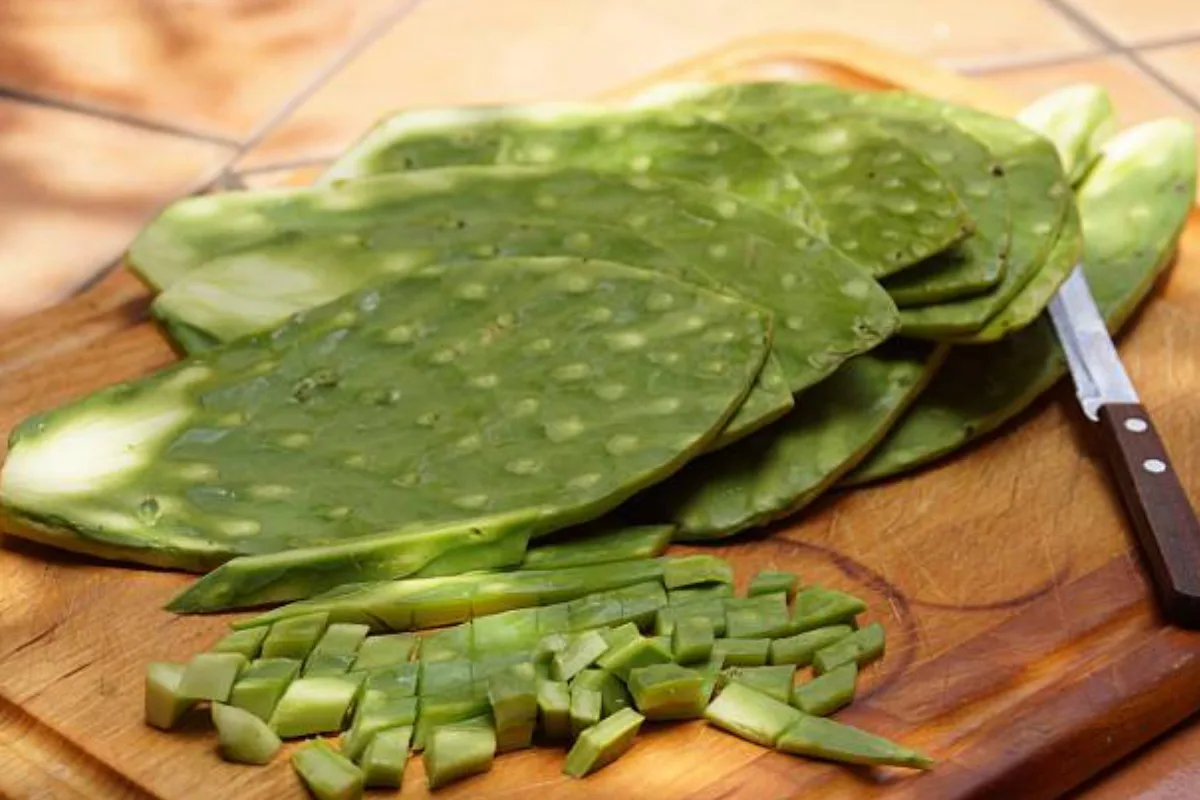 Nopales con papa la receta perfecta por sus beneficios