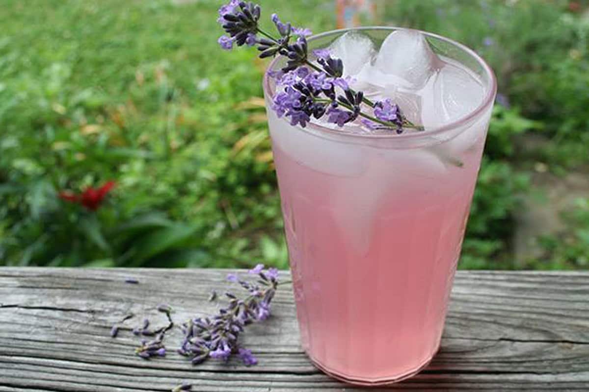 Aguas Frescas con Flores, infusiones revitalizantes ¡Dile adiós al calor!