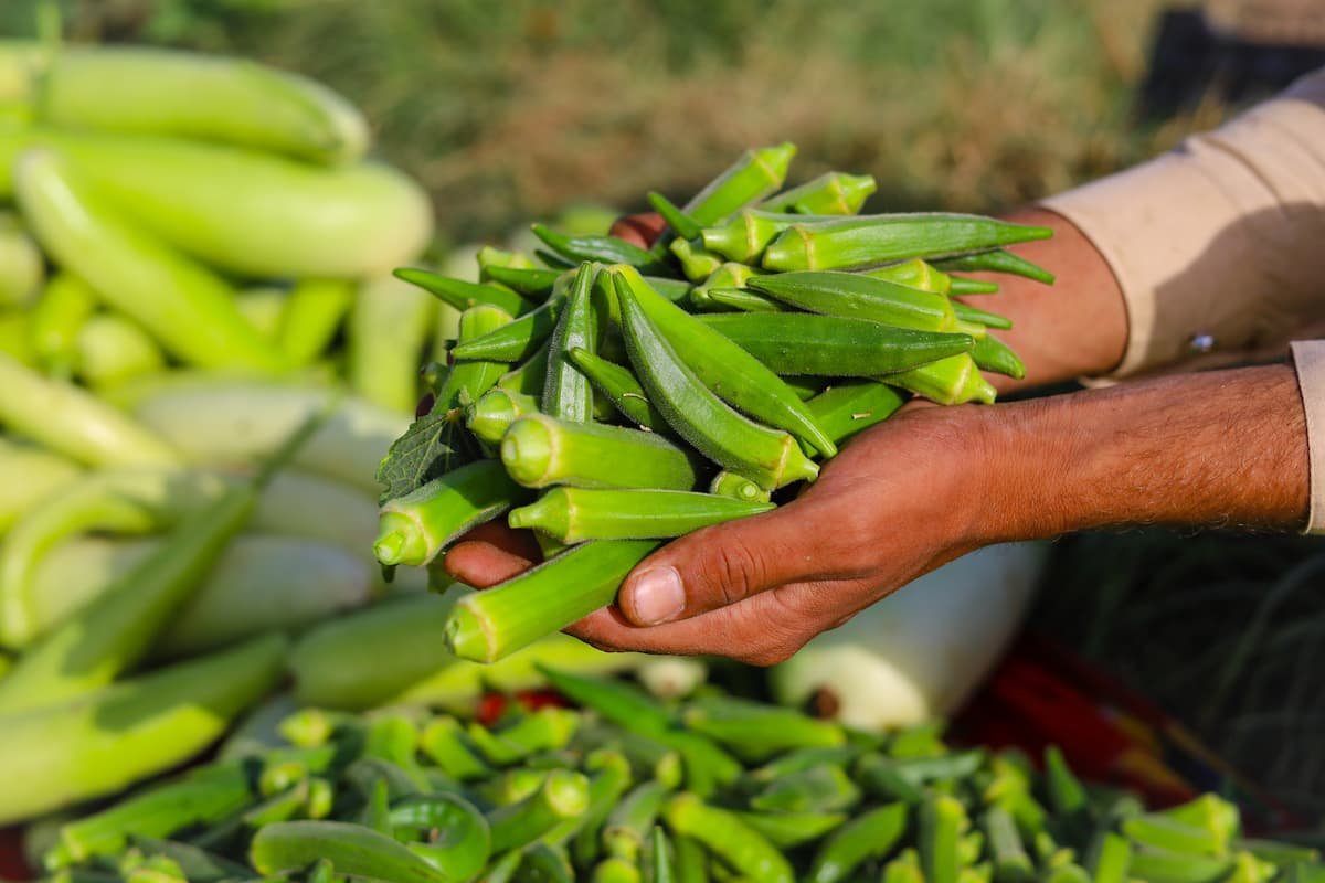 ¿Qué es el agua de okra? Te cuento sobre la nueva tendencia de TikTok