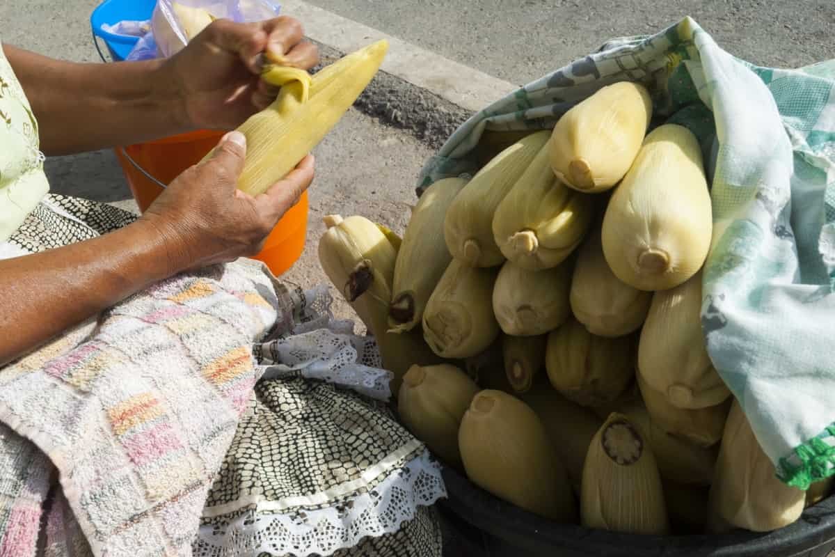 Prepara nuestra receta de de panqué de elote sin harina, una opción saludable sin perder el sabor tradicional